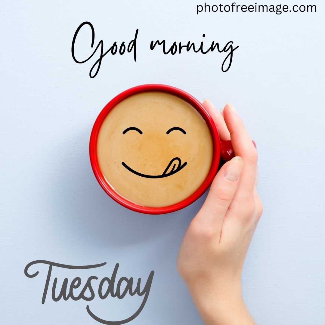 good morning tuesday photos