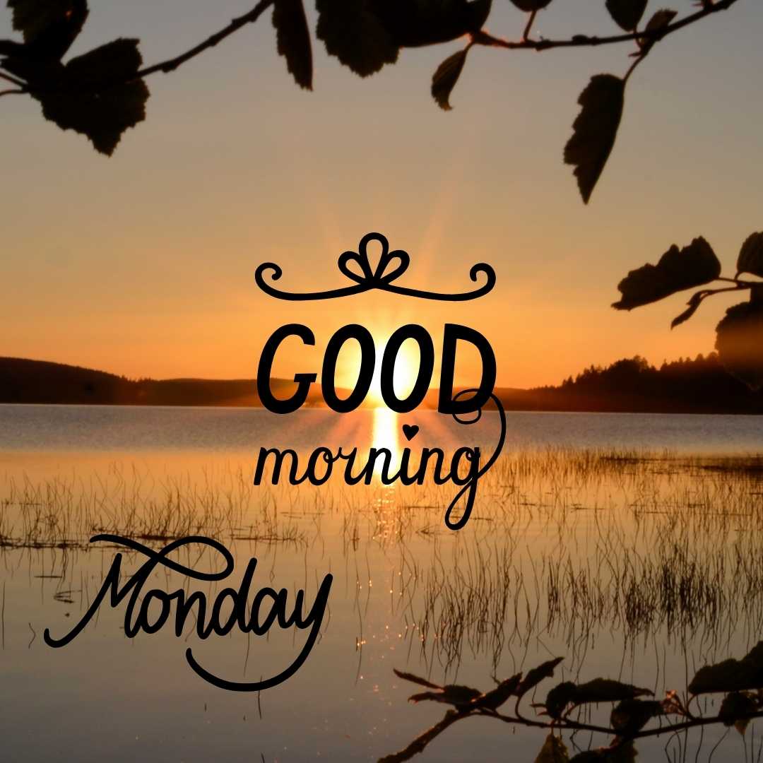 beautiful good morning images of monday