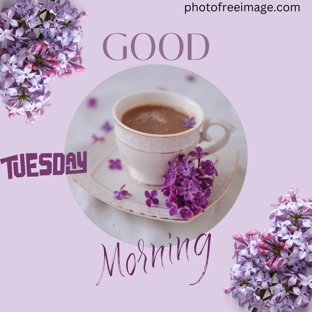 images of tuesday good morning