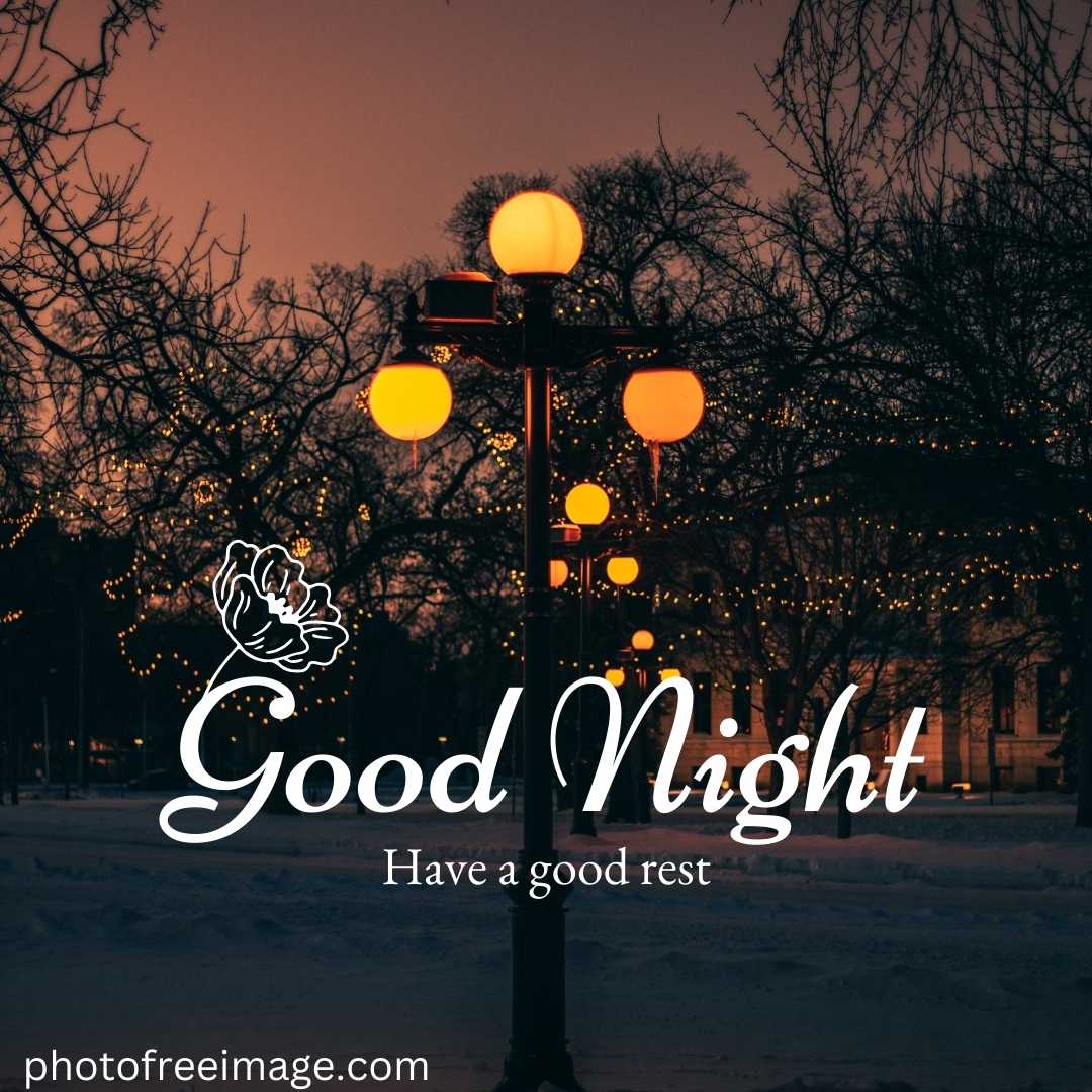 lovely good night images