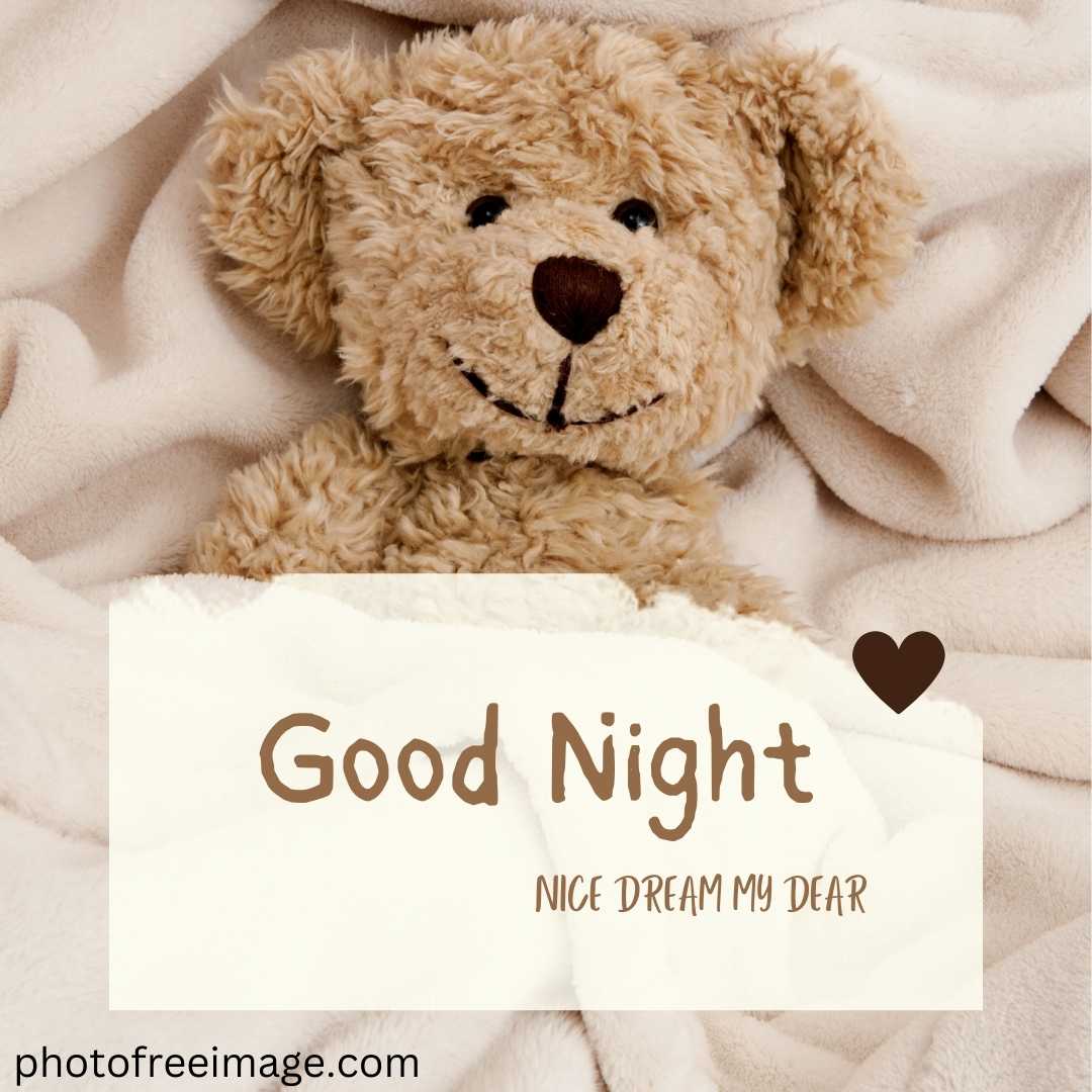 Cute Good Night Images with teddy