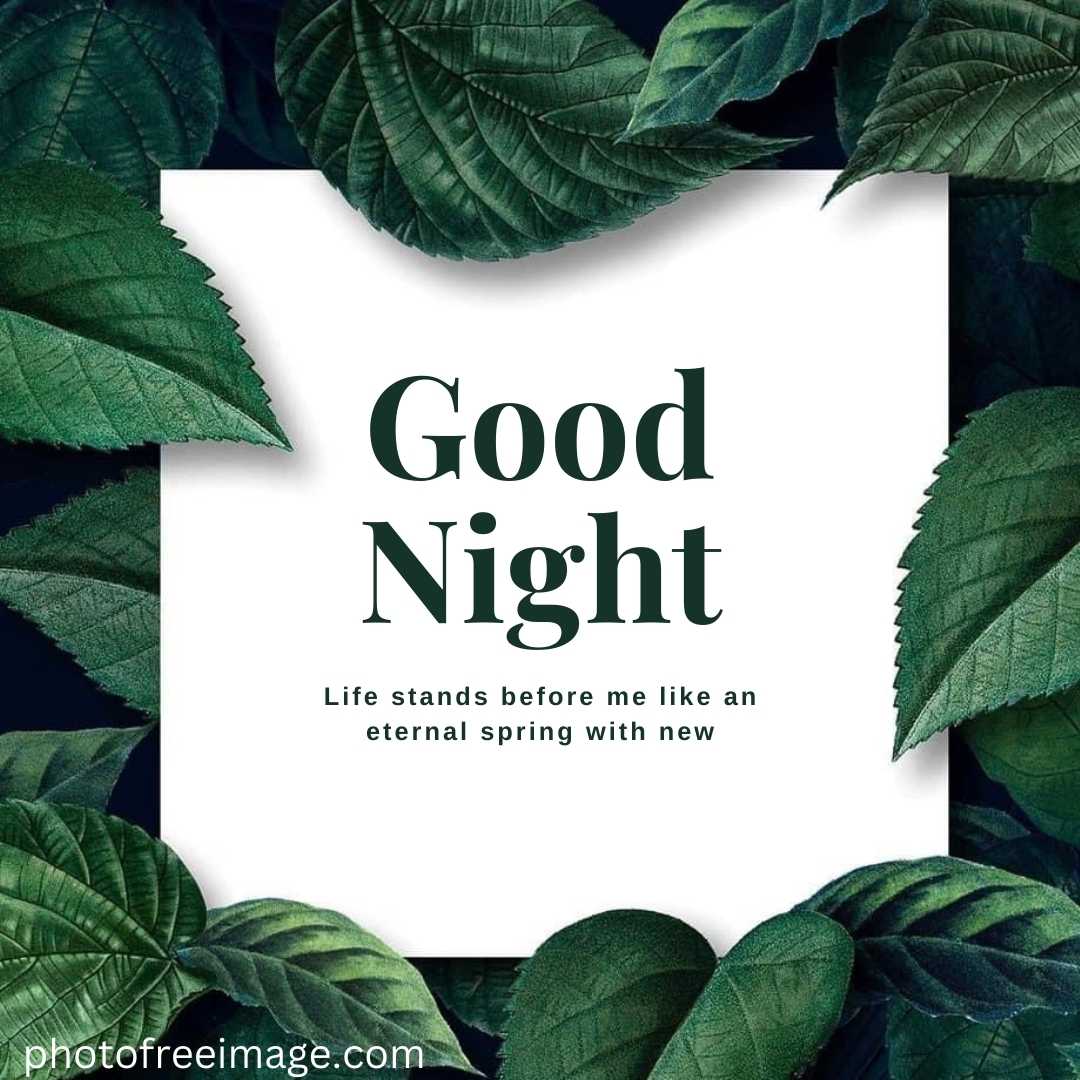 New Good Night Images in leaf