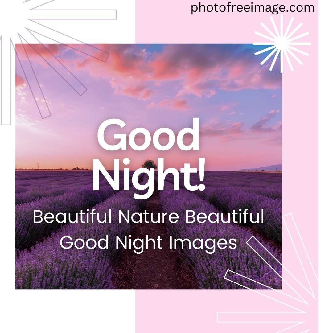 Beautiful Good Night Nature