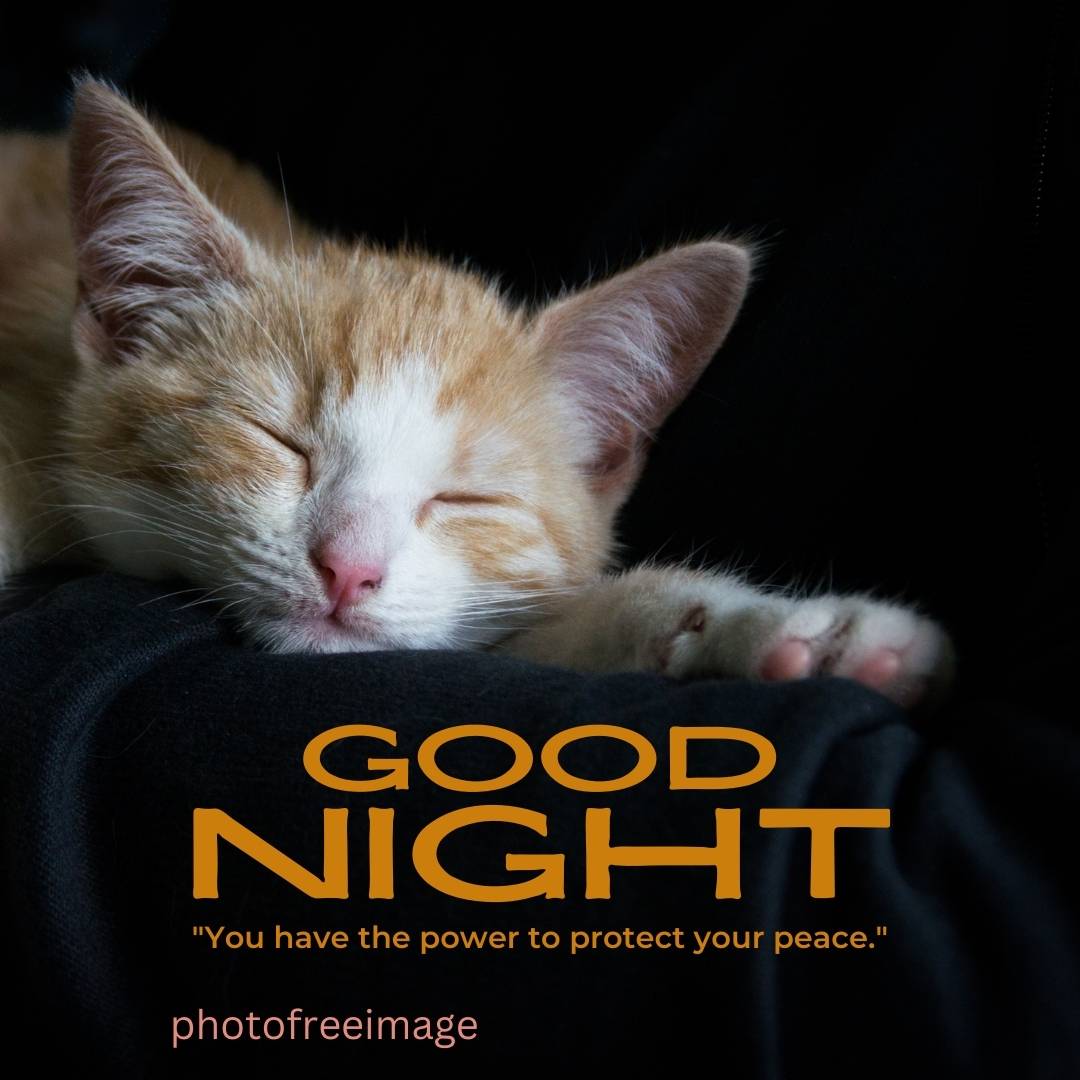 good night friend