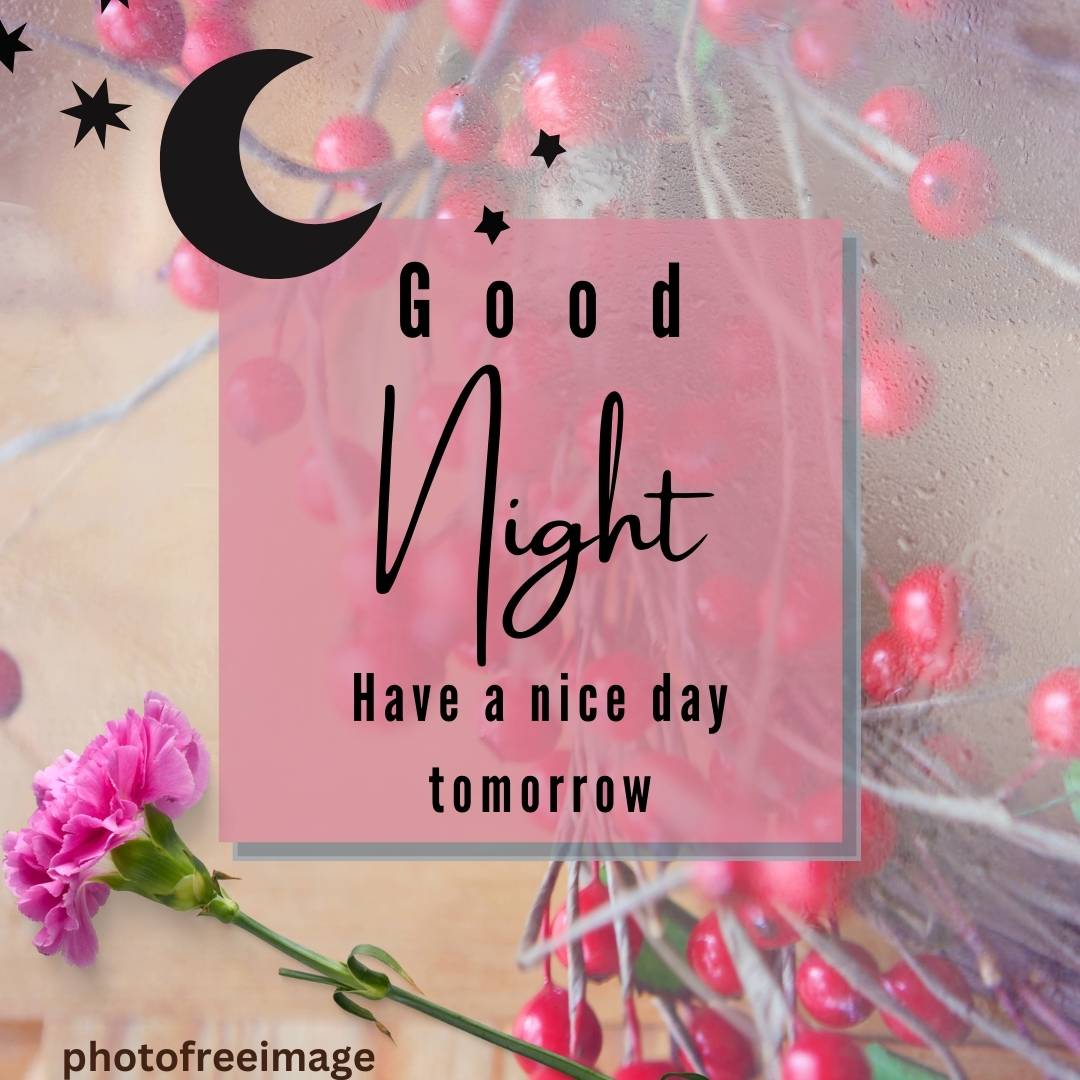 free cute night images